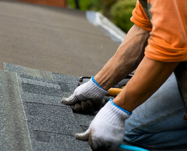 Best Gutter Installation and Roofing  in Coats, NC