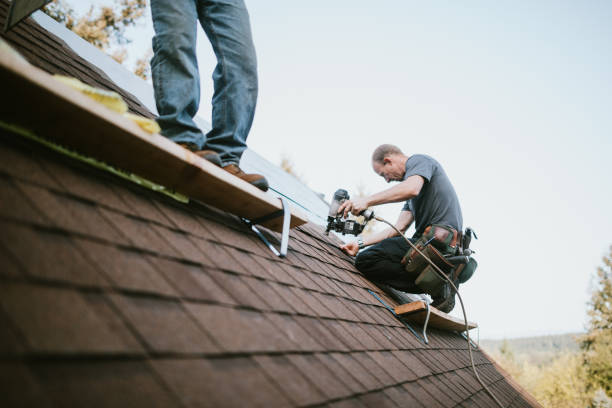 Best Roof Gutter Cleaning  in Coats, NC